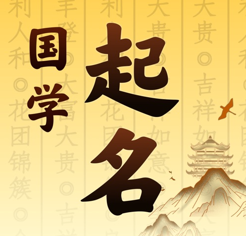 金城江国学起名 人工起名一对一